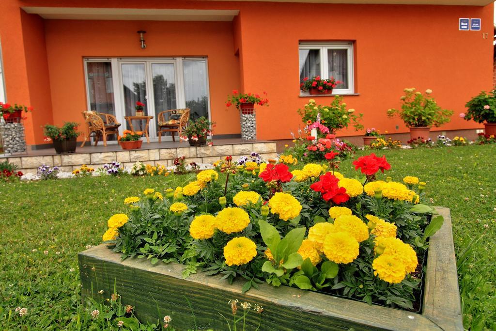 Vila Julija - Apartment & Rooms Otočac Exterior foto